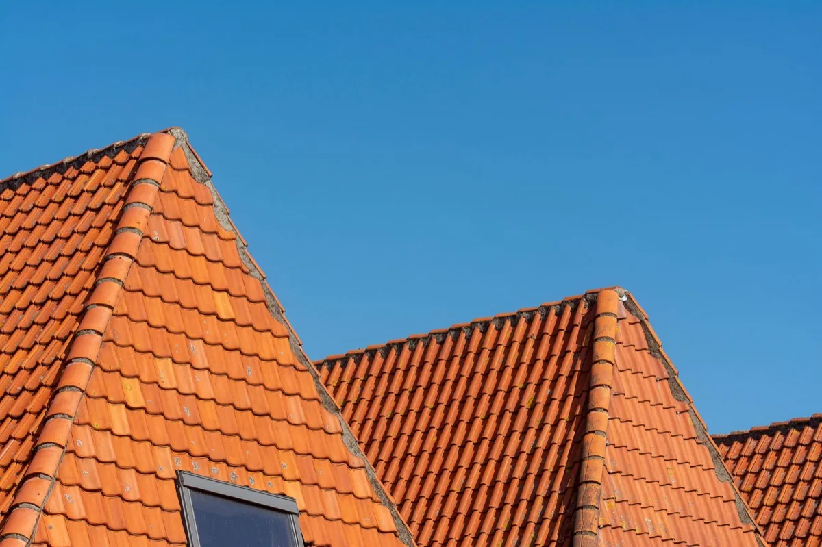 Clay barrel tile rooflines on homes in Brandon, FL