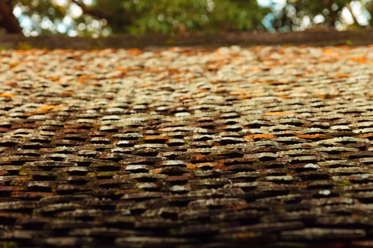 Aging shingle roof with moss growth and granule loss in Brandon, FL